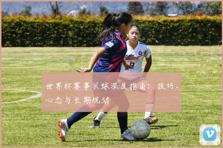 世界杯赛事买球深度指南：技巧、心态与长期规划