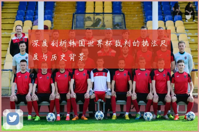 深度剖析韩国世界杯裁判的执法尺度与历史背景