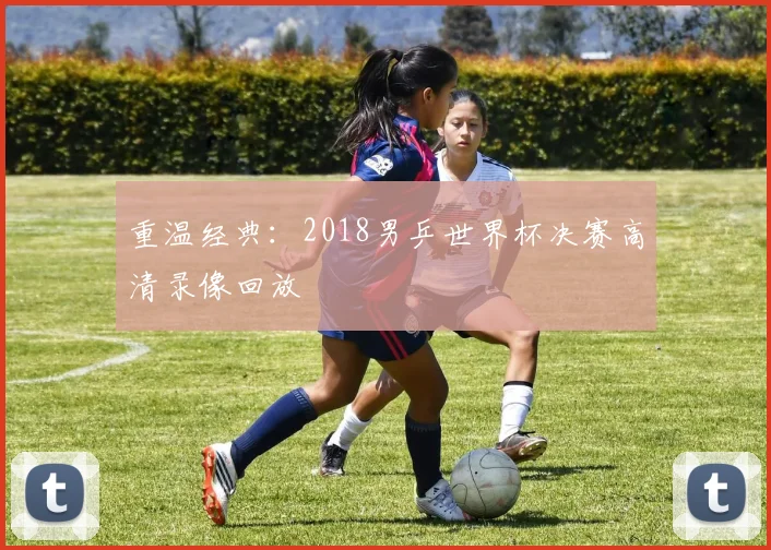 重温经典：2018男乒世界杯决赛高清录像回放