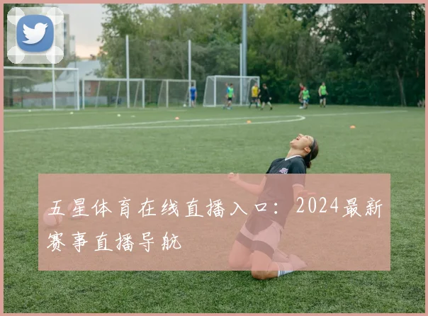 五星体育在线直播入口：2024最新赛事直播导航