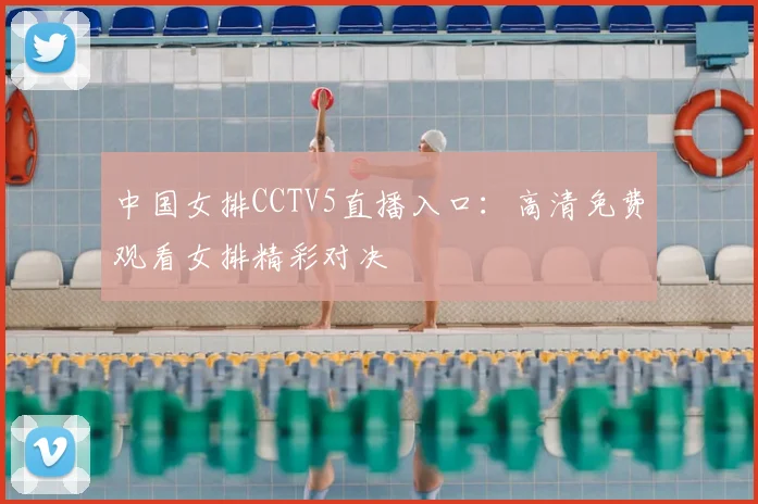 中国女排CCTV5直播入口：高清免费观看女排精彩对决