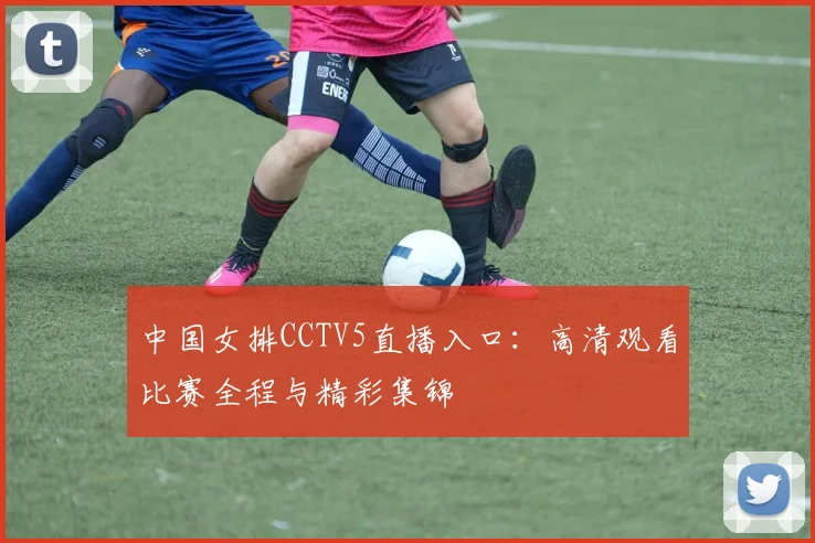 中国女排CCTV5直播入口：高清观看比赛全程与精彩集锦
